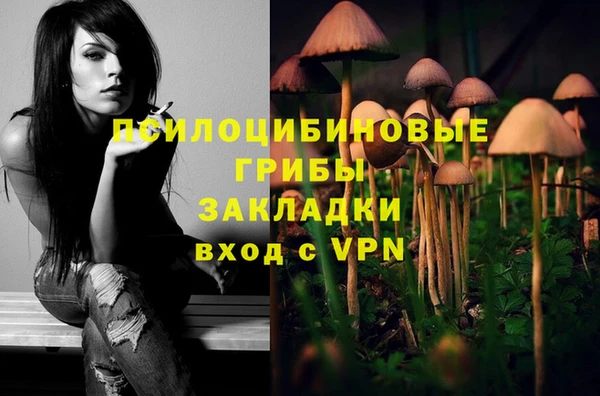 тгк Волоколамск