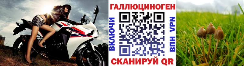 Псилоцибиновые грибы мицелий Могоча