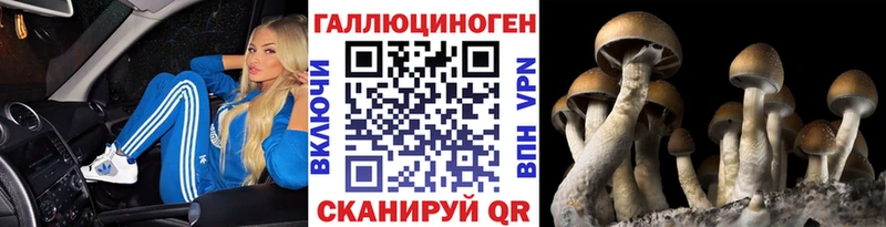 купить наркотик  Могоча  Псилоцибиновые грибы GOLDEN TEACHER 